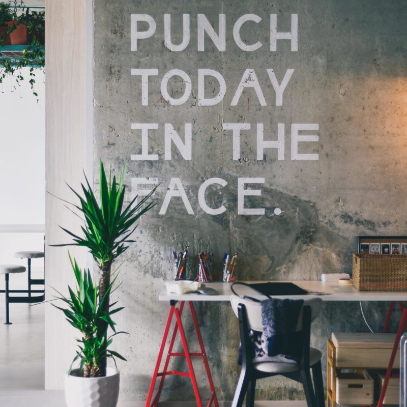 Slogan painted on studio wall that says “Punch today in the face”